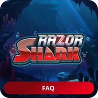 Fragen zu Razor Shark Razor Shark FAQ